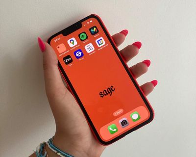 Sage iPhone for children review: ‘Would it make me want to divorce my parents?’
