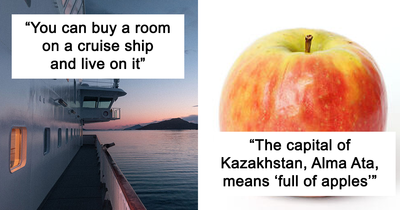 44 ‘Today I Learned’ Facts That Prove It’s Never Too Late To Learn Something New