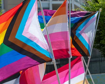 Uniformed police officers were wrong to march in Pride event, high court rules