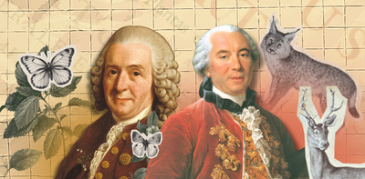 How do we understand life on Earth? An 18th-century rivalry charts the tension between two types of science ‘genius’