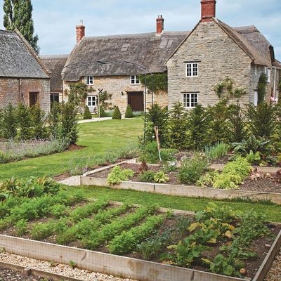 Is it better to grow plants directly in the soil or in raised beds? Garden experts share the best option for your garden soil type