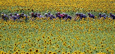 ‘It's like a game of chess’ - how group psychology affects the tactics of the Tour de France peloton