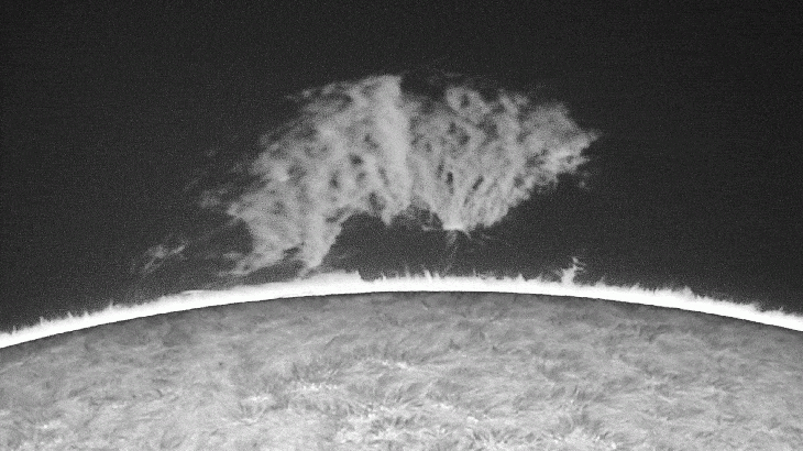 Behold, 'The Beast': Gigantic animal-like plasma plume 13 times wider than Earth hovers over the sun