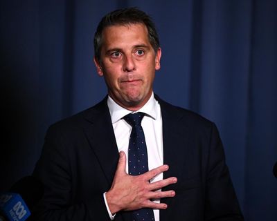 NSW minister Ryan Park used ministerial car for 456km trip from Sydney to Jindabyne during ski season