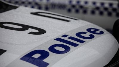 Taser and bullet fail to stop domestic violence suspect