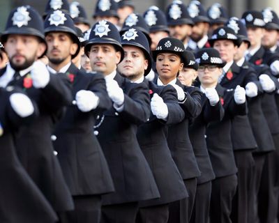 Police race action plan for England and Wales could be sidelined, monitor says