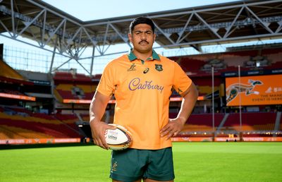 Joe Schmidt insists injuries will not affect Australia ahead of first Lions Test