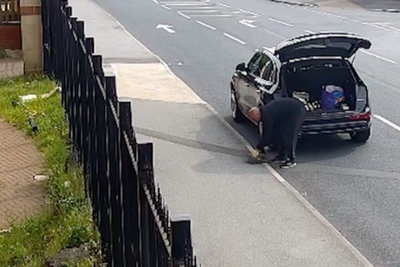 Man filmed releasing rats on pavement outside Sheffield Grand Mosque