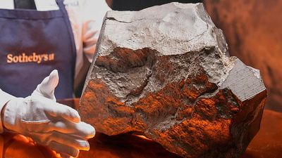 Largest Martian meteorite fetches over €4.3 million at auction - but young dinosaur steals the show