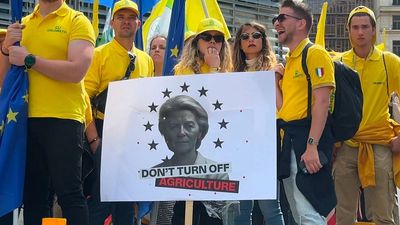 Ringfenced, but reduced: EU Commission shrinks agriculture share in record budget