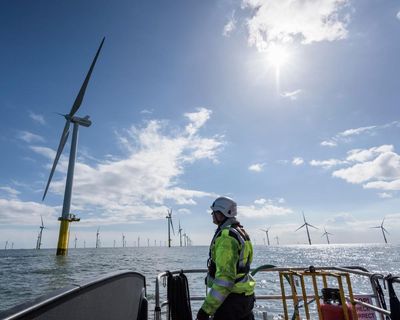 Reform’s anti-renewables stance ‘putting jobs and energy bills at risk’