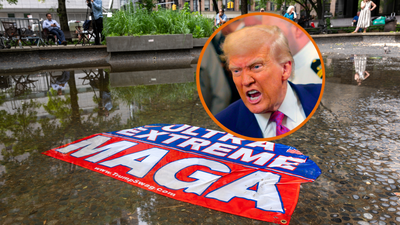 ‘I’ve never seen the president lash out at us like this before…’: MAGA now ‘disconcerted’ and ‘betrayed’ as Trump dismisses them as stupid weaklings