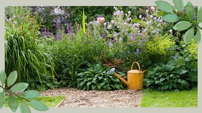 Here's how you can still water your garden during a hosepipe ban, without breaking any rules