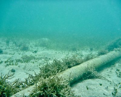 Risk of undersea cable attacks backed by Russia and China likely to rise, report warns