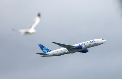 Newark Airport Disruption Grounds United Airlines' Q3 Forecast, Weighs On Shares
