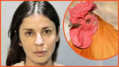 Chicken killed in Florida intersection leads to bear mace attack and a woman’s arrest