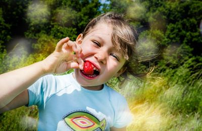 ‘I’ve been known to eat a punnet in one sitting’: eight superfans on the best ways to enjoy British strawberries