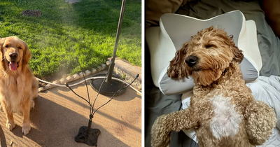 These 19 Heatwave Hacks Are Your Official Survival Guide For Summer