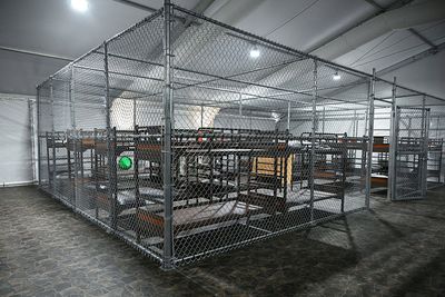 Advocates Claim Migrants Held At 'Alligator Alcatraz' Are Being Prevented From Accessing Legal Counsel