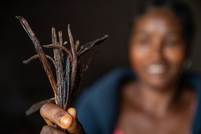 How the climate crisis and aid cuts could devastate global supplies of vanilla