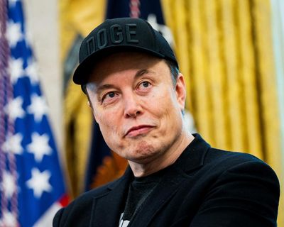 Royal Society suggested to Elon Musk he consider resigning science fellowship