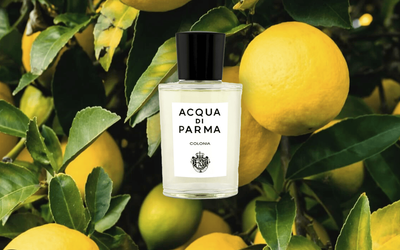 Eight must-try summer colognes for hot summer days