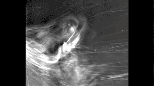 A camera flew through the sun’s corona, didn’t melt, and sent back these first-ever close-ups of the sun