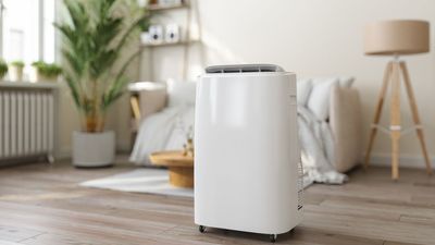 3 reasons why you need a portable air conditioner – especially if you're in the UK