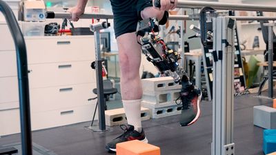 New bionic knee connects directly with muscles and bone to feel more like the user's body