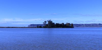 Rising seas threaten to swallow one of NZ’s oldest settlement sites – new research