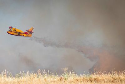 An uncontrolled wildfire sends a cloud of smoke over Spain's capital