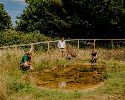 Green mission aims to raise £1bn to bring nature into UK towns and cities