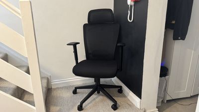 Flexispot OC3/BS3 Review