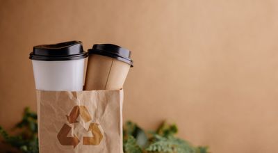 7 Reusable Products That Aren’t As Sustainable As You Think