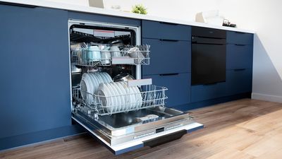 Whirlpool just launched the most inclusive dishwasher on the market thanks to this genius new feature