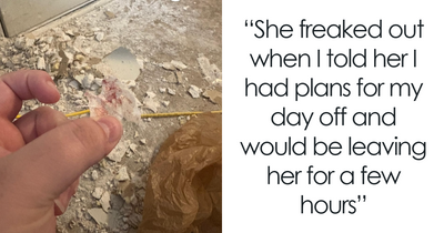 Woman Left Shocked After Friend’s Dog Eats Drywall And Wires: “Getting Seriously Injured”