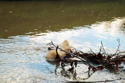 ‘Disgraceful’ 60% rise in serious pollution by water firms