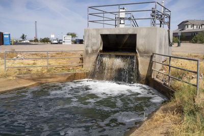 US wetlands ‘restored’ using treated sewage tainted with forever chemicals
