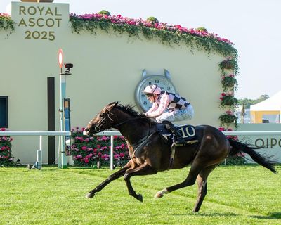 Havana Hurricane can blow rivals away in Newbury Super Sprint