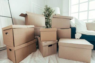 Why Decluttering Can Actually Cause Family Trauma