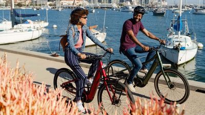 Stop Riding These Giant E-Bikes, And Take Them To Your Dealer ASAP