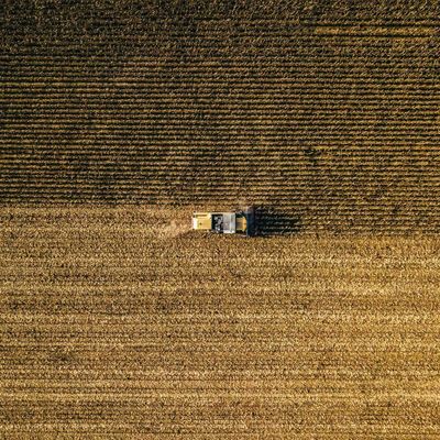 Wheat Getting a Friday Morning Bounce Back