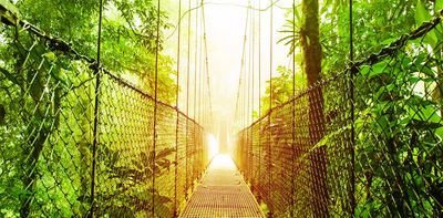 Going on holiday? Here’s how to make sure your trip is sustainable