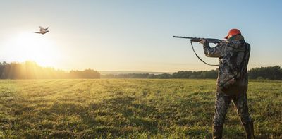 Britain’s ban on lead ammunition could save tens of thousands of birds from poisoning