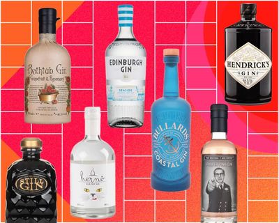 The best gins for G&Ts, martinis and negronis, from our taste test of 50