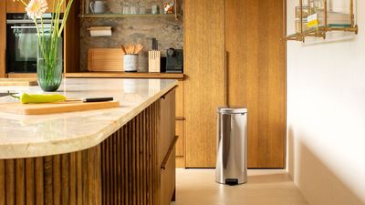 How to keep a trash can from smelling this summer – 5 simple ways to stop bad odors from taking over