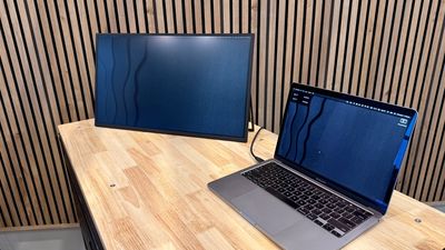 I reviewed this "portable" monitor from UPerfect - and it gives a full panel's worth of display on the go