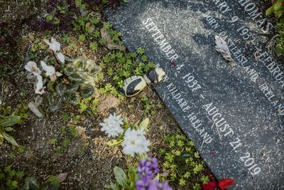 6 Inheritance Stories That Ended With Family Estrangement