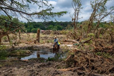 More than 30 million people at risk of flash flooding just weeks after deadly Texas floods