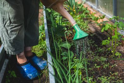 10 Of The Best Places To Buy Cheap Gardening Supplies